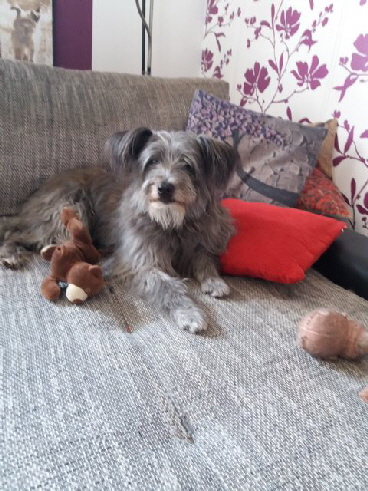 Lilli auf dem Sofa Lilli auf dem Sofa